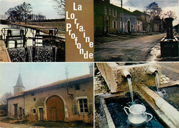 CPSM La Lorraine Profonde-Multivues    L377 - Lorraine