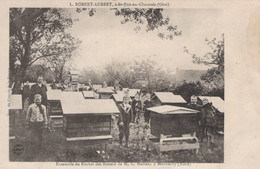 CPA - SELECTION  - HONNECHY - Ensemble Du Rucher Des Rosiers De M.G.MORIAUX ( Ruches) - Andere & Zonder Classificatie