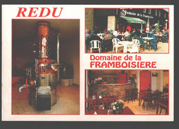 Redu - Domaine De La Framboisière - Libin