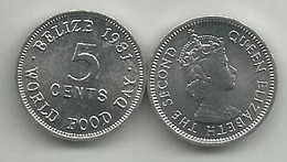 Belize 5 Cents 1981. FAO High Grade - Belize