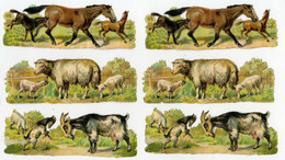 Lot De 6 Découpis: Chevaux, Montons, Chèvres. 11 X 3,5 Cm - Animaux
