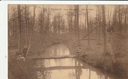 Rymenam / Rijmenam : Forêt Berendonck  -- Pont Du Diable - Bonheiden