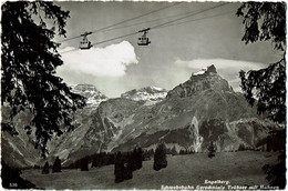 536 Engelberg/Schwebebahn Gerschnialp Trubsee Mit Hahnen - Trub