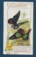 Chromo Aiguebelle 11,5 X 6.5 - Le Monde Des Insectes - Papillons - Aiguebelle