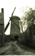 WOUWSE PLANTAGE - Roosendaal (N.Br.) - Molen/moulin - De Verdwenen Stenen Beltmolen In Werking Met Twee Wieken - Roosendaal