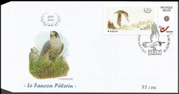 DUOSTAMP** / MYSTAMP** - FDC - BUZIN - Faucon Pèlerin / Slechtvalk / Wanderfalke - ABCP - Numéroté/Genummerd - Storia Postale