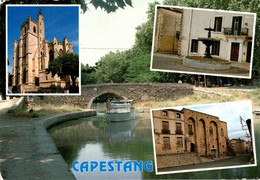 Capestang Le Pont De Pierre Sur Le Canal Du Midi La Cathedrale Le Bassin Rond Le Chateau 1995  CPM Ou CPSM - Capestang