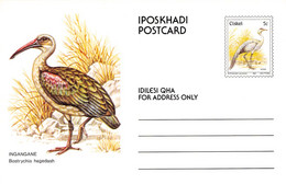 CISKEI - SET POSTCARDS 5c BIRDS MNH /QD119 - Ciskei