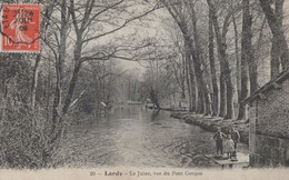 TF - 91- LARDY - La Juine Vue Du Pont Goujon - Lardy