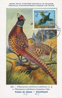 Maximum Card Same Stamp As The Picture 1973 Kaboul Faisan Chassse Pheasant Hubert Dupond - Afghanistan
