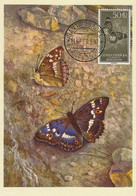 Maximum Card Same Stamp As The Picture 1959 Guinea Espanola Santa Isabel Signed Zeltner Chambery  Papillon Butterfly - Guinea Equatoriale