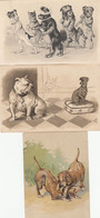 CHIENS GAUFFREES LOT 3 CARTES - Dogs