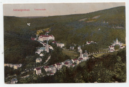 Schlangenbad. Totalansicht. // Jahr 1916 - Schlangenbad