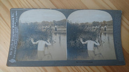 1900 - HOMME NU CACHE DANS L EAU DERRIERE LA VERDURE - PHOTO STEREO - Stereoscopic