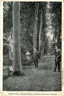 Confolens * Grande Allée Du Cimetière Et Monument Duclaud - Confolens