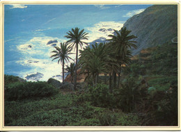 Canaries - La Gomera - Arguamul - Ecrite, Timbrée - Gomera
