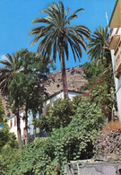 Canaries - La Gomera - Un Rincón De Vallehermoso - Ecrite - Gomera