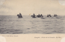 Koksijde, Coxyde, Pêche De La Crevette En Mer, Paardevissers (pk78810) - Koksijde