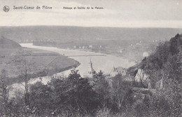 Sacré Coeur De Flône, Abbaye Et Vallée De La Meuse (pk78826) - Amay