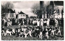 CPSM - VOUZERON (Cher) - Messe De Saint-Hubert - Bénédiction De La Meute - Vouzeron