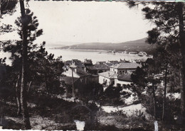 Delcampe - 83 - Sainte Maxime Sur Mer - Vue Generale - Sainte-Maxime