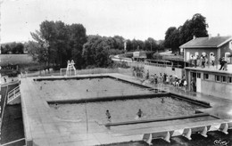 54-TOUL- PISCINE MUNICIPALE - Toul