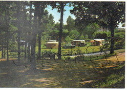 Les Lucs-sur-Boulogne (85) : Vue Intérieure Du Camping  En 1980 (animé) GF. - Les Lucs Sur Boulogne