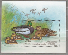 BIRDS HUNGARY 1988 Ducks Mi Bl 246 MNH (**) #22311 - Unclassified