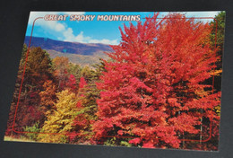 Great Smoky Mountains (Tennessee) - Photo Walter Cline Aerial Photography Services, North Carolina - Smokey Mountains