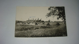 Carte Postale : Moselle, Hagondange, Vue Sur Les Usines - Hagondange