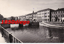 ADRIA - RIVIERA  F/GRANDE VIAGGIATA 1956 ANIMATA - Rovigo