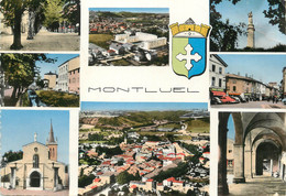 / CPSM FRANCE 01 "Montluel" - Montluel