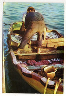 Métiers--Pêche--Espagne---1969---Retour De La Pêche  ( Animée ) ..........à Saisir - Fishing