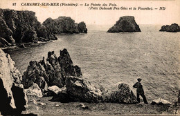 29 CAMARET-sur-MER   La Pointe Des Pois (Petit Dahouêt Pen Glaz Et La Fourche) - Camaret-sur-Mer
