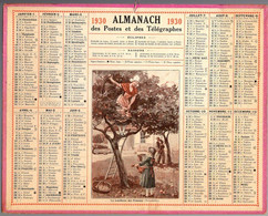 CALENDRIER GF 1930 - La Cueillette Des Pommes En Normandie, Imprimeur Oberthur Rennes - Grand Format : 1921-40