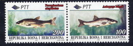 BOSNIA & HERCEGOVINA (Sarajevo) 1995 Fish Pair MNH / **.  Michel 30-31 - Bosnië En Herzegovina