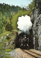 MEIRINGEN INNERTKIRCHEN Brünig-Bahn - Innertkirchen