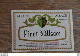 ETIQUETTE D'ALASCE PINOT D'ALSACE PFAFFENHEIM - Collections, Lots & Séries