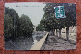 BRIEY (54) - LE WOIGOT (VUE SUR LA LEVEE) - Briey