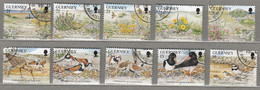 BIRDS GUERNSEY 1991 Used (o) Mi 527-536 #22322 - Unclassified