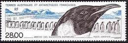 Terres Australes Et Antarctiques Françaises (TAAF) - Arrivée Des Manchots Empereurs - Airmail