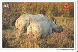 UNESCO World Heritage Site ,One Horned Rhino, Kaziranga National Park,  India Post - Rhinoceros
