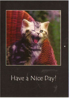 Norge Norway Card With Nice Pussycat, Have A Nice Day, Used With Fish Stamp - Covers & Documents