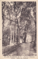 Salies De Béarn, Parc, Allée Des Mélèzes Pavillon Medicis (pk79015) - Bearn