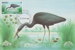 Carte Maximum  1er  Jour    NAURU     Oiseau   Echassier    1980 - Nauru