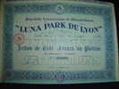 Action " Luna Park De Lyon " 1921 Excellent état,avec Tous Les Coupons - Casino