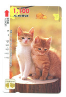 Titre De Transport Bus Card (Japon) : Chats - Wereld