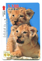 Titre De Transport Bus Card (Japon) : Lions - Mondo