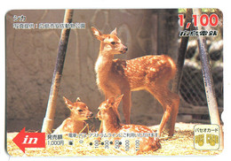 Titre De Transport Bus Card (Japon) : Chevreuils (??) - World