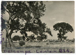 - République Du MALI - BAMAKO - Un Village, Glacée, Grand Format, écrite, 1965, TTBE, Scans. - Mali